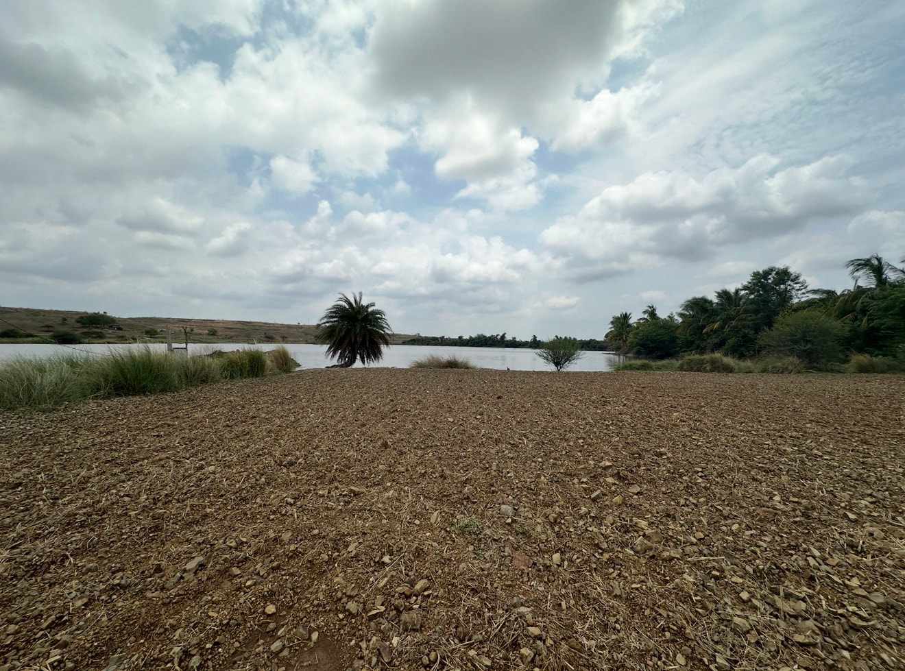 Morvan site — lakeside land with palm tree